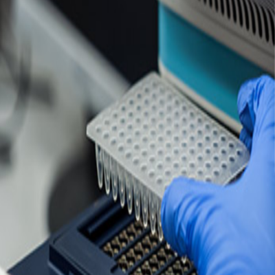 PCR Mastite